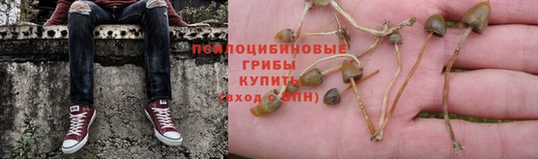 a pvp Балабаново